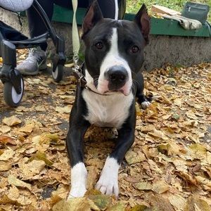 Meet your Posher, Anastasiia